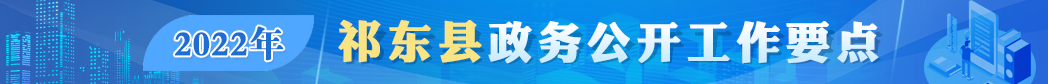 2022年祁东县政务公开工作要点