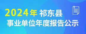 事业单位年度报告
