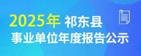 事业单位年度报告